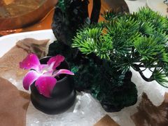 -大龙燚火锅