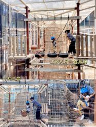 -PIPIKINGDOM皮皮王国欢乐号(欢乐海岸购物中心店)