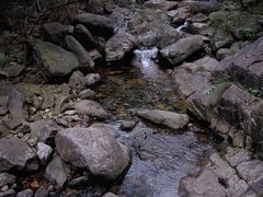 -大奇山国家森林公园