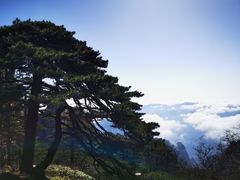 -黄山风景区
