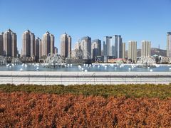 -鼎香缘海鲜自助火锅烤肉(锦辉购物广场店)