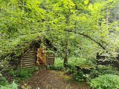 -峡谷浮石林景区