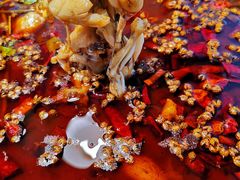 -味之绝热血美蛙鱼火锅(中坝店)