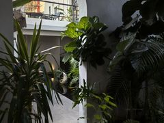 -漫笙舍Manse·咖啡·民宿