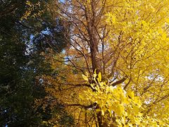 -上海科技馆(地铁站)