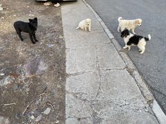 -鬼笑石后山停车场