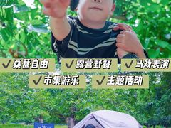 -御林古桑园