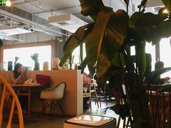 -the rug 飞毯 (朝阳公园店)