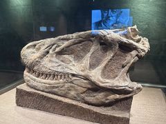 -自贡恐龙博物馆