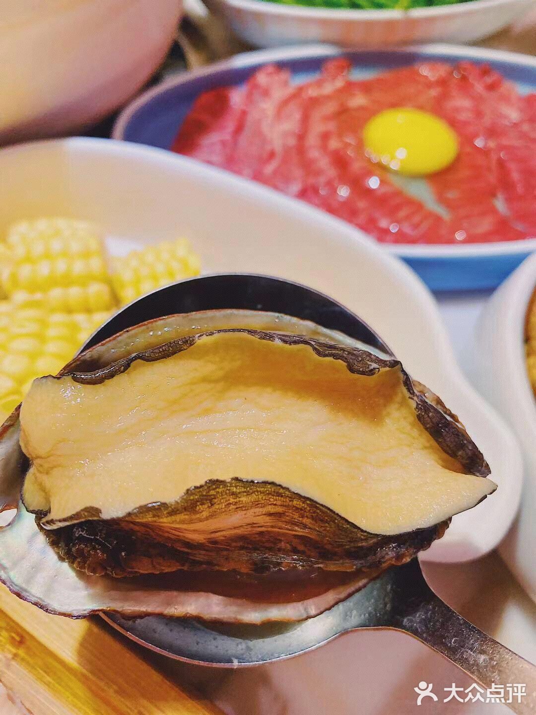 上海美食探店|这么鲜的鲍鱼鸡火锅爱了爱了!
