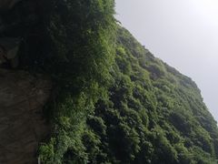 -王顺山国家森林公园