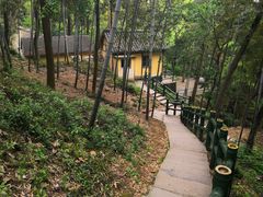 -上海佘山国家森林公园西佘山园