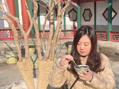 -宫事颐庭·老佛爷贵寿下午茶(颐和园店)