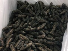 -宫品海参专卖店(黄浦老西门店)