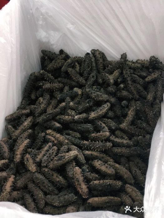 宫品海参专卖店(黄浦老西门店)图片