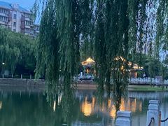 -孺子亭公园