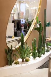 -V Charm芮槿肌肤管理