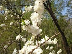 android_upload_pic-灵溪风景区