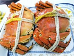 -小陆莲花蟹园农家乐(莲花岛店)