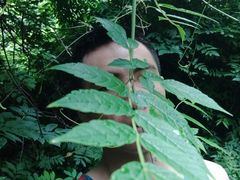 -终南山国家森林公园