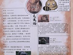 -青藏高原野生动物园