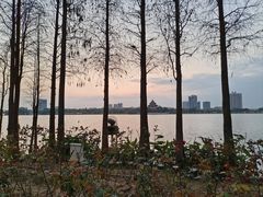 -顺峰山公园