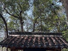 -灵顺寺