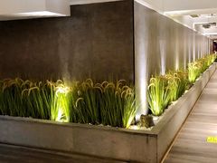 -拈菜(观音桥阳光世纪店)