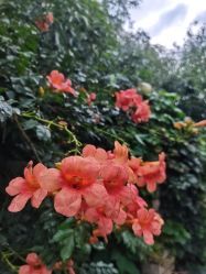 -姜美堂·蒸姜除湿の纤体美颜馆