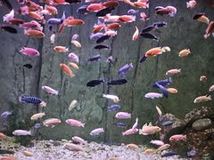 -蓬莱欧乐堡海洋极地世界