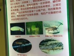 -上海昆虫博物馆