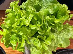 -九田家黑牛烤肉料理(新辰里亚运村店)