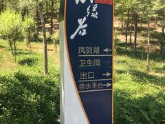-小绿谷公园