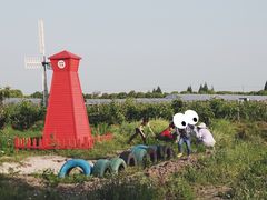 -美家乐农庄·露营·团建(大治路店)