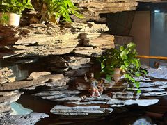 -山水茶艺馆·点心粤菜·30年老字号