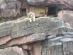 -无锡动物园·太湖欢乐园