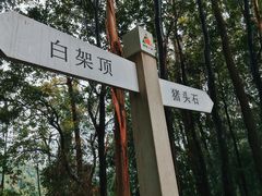 -火炉山森林公园