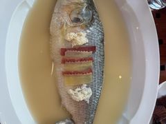 -宁波柏悦酒店·钱湖渔港