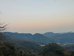 -十八棵（老龙井）御茶园(老龙井店)