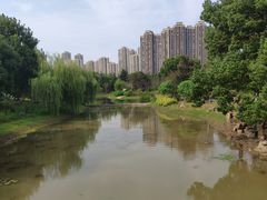 -堤角公园