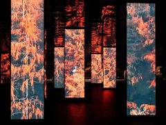 -中国湿地博物馆