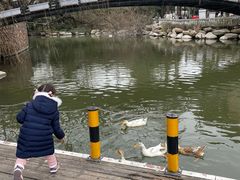 -J Create城市露营咖啡·简餐·宠物(上海动物园店)