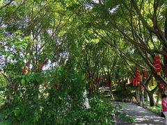 -丰都鬼城名山景区