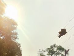 -狐尾山公园