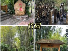 -大屏嶂森林公园