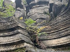 -梭布垭石林景区