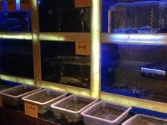 -宁波逸东豪生大酒店·逸轩中餐厅