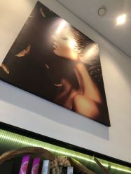 -斑斓色彩沙龙
