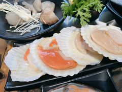 扇贝-丽江庭院之爱在路上(西单店)