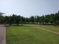 -万绿园